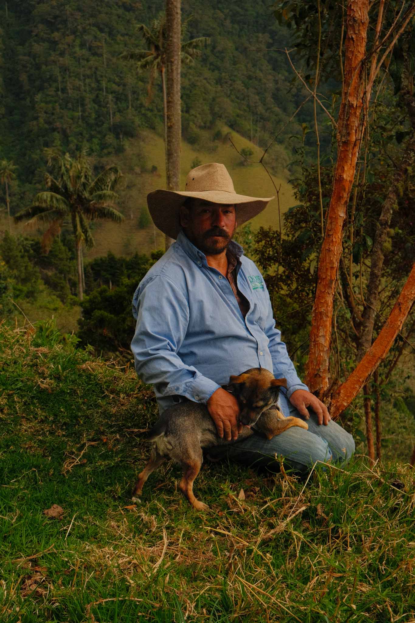 Where Giants Watch the Quiet