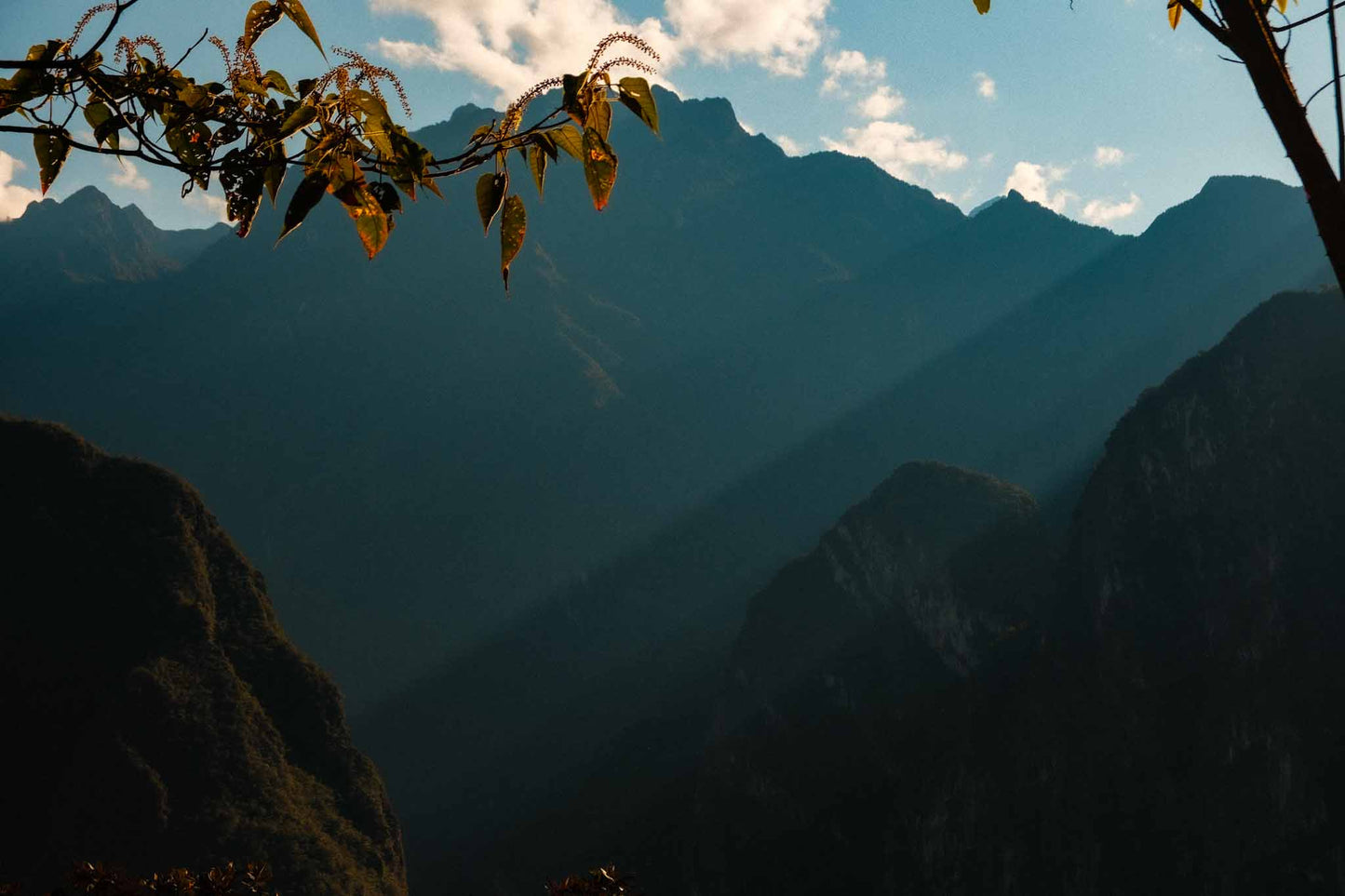 Echoes of Ancestral Light